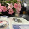 Casio LTP-V005D-2B Lady Classic 38682