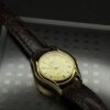 Casio LTP-1094Q-9A Lady Classic 38096